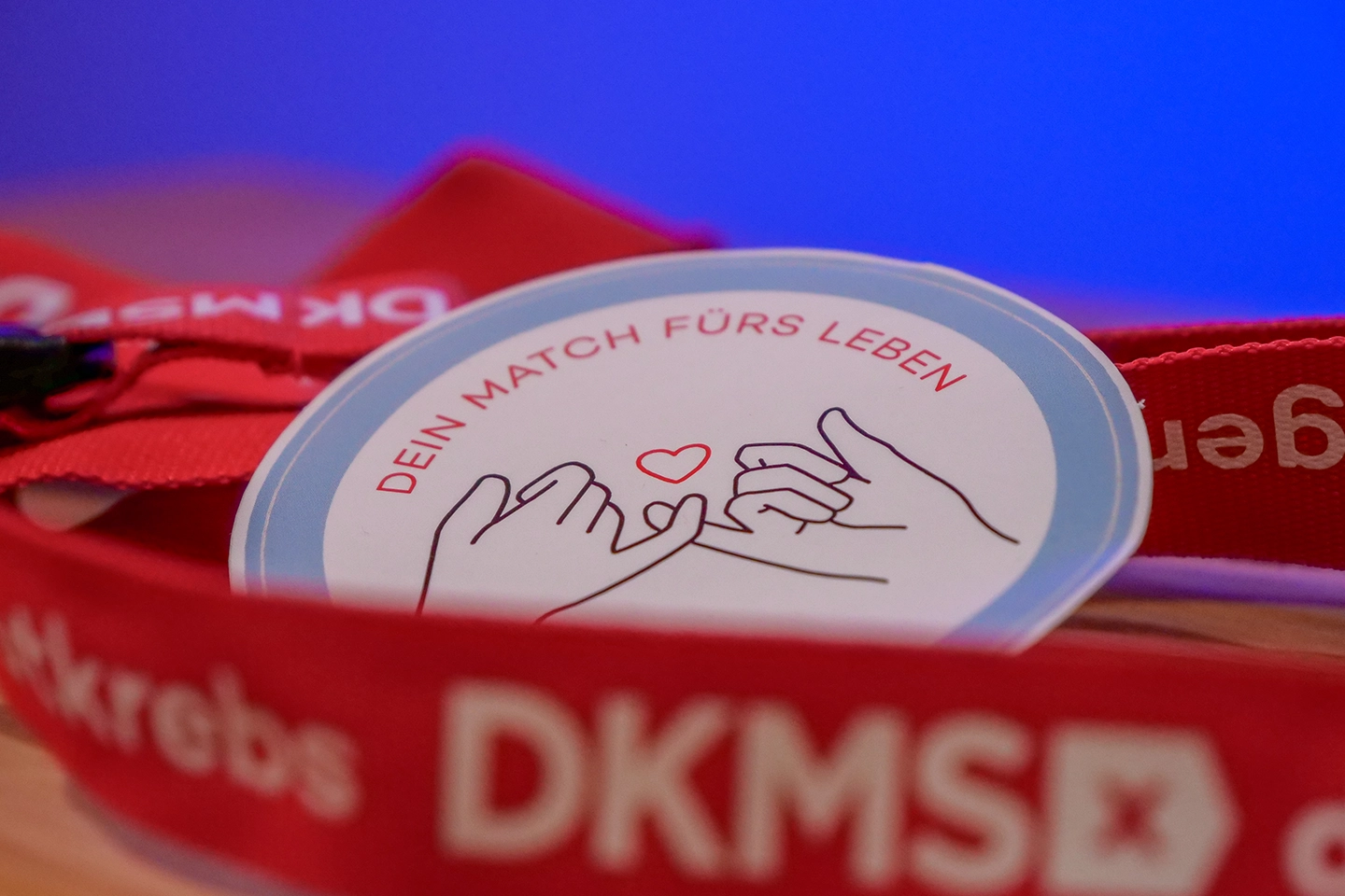 Unsere DKMS-Aktion zur Weihnachtszeit